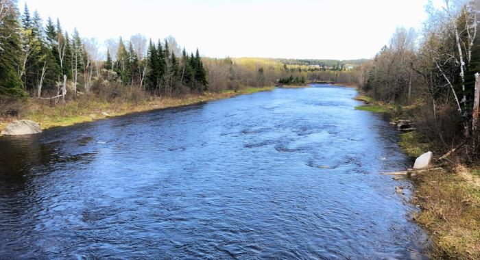 Looking downstream towards the Aroostook River from Garfield Bridge (Credit: Zip Kellogg)