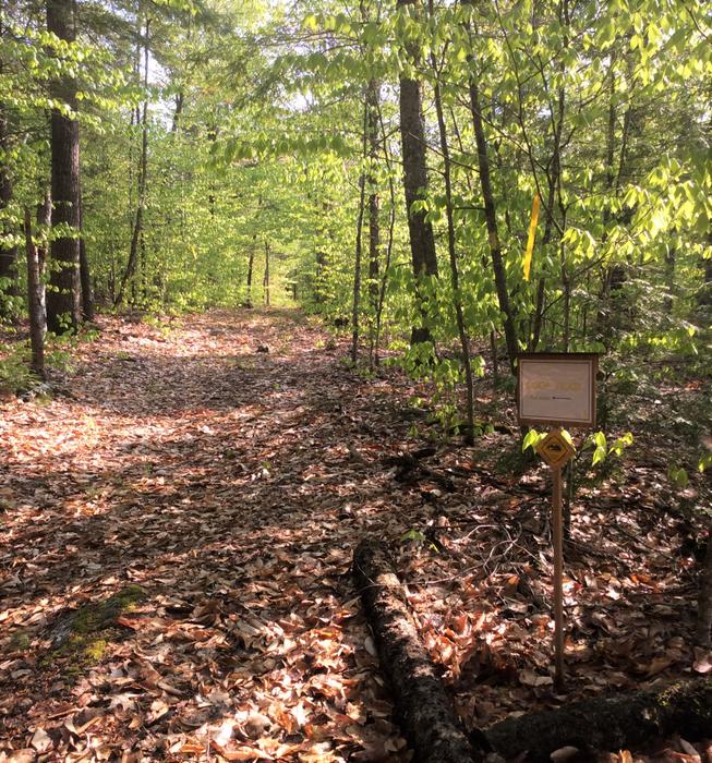 Loop Trail (Credit: SRLT)