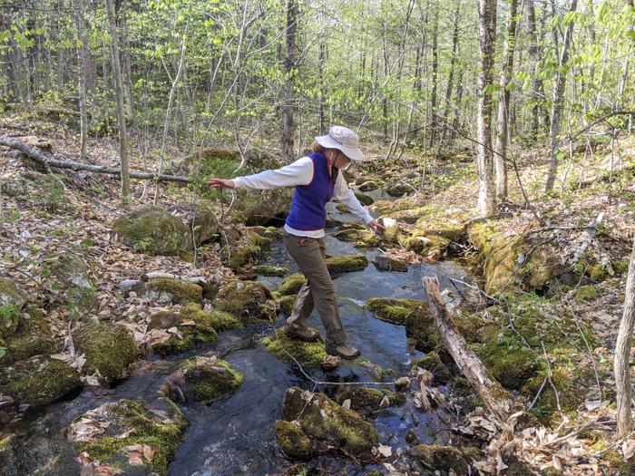 Bingham Cascades Trail (Credit: Gabe Perkins)