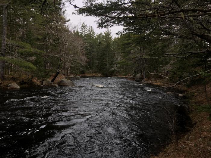 Upstream of Carrick Pitch (scout river right) (Credit: Nicole Grohoski)