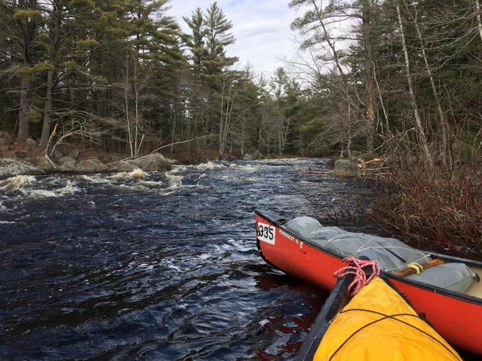 Looking upstream to Carrick Rips (Credit: Nicole Grohoski)