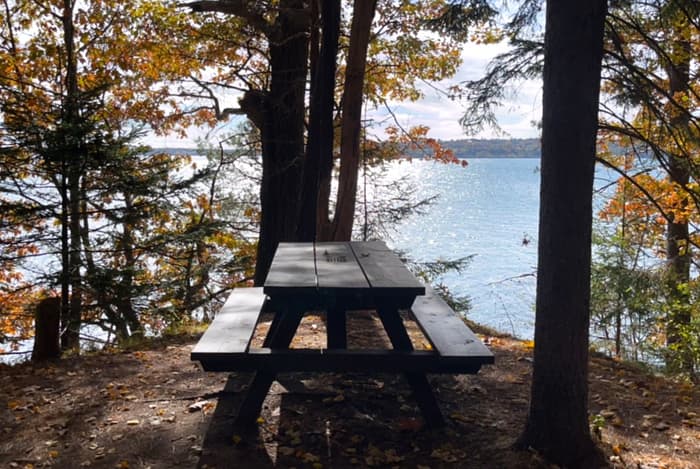 (Credit: Kara Wooldrik)