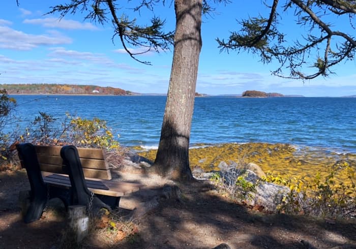 Mackworth Island State Park Trail