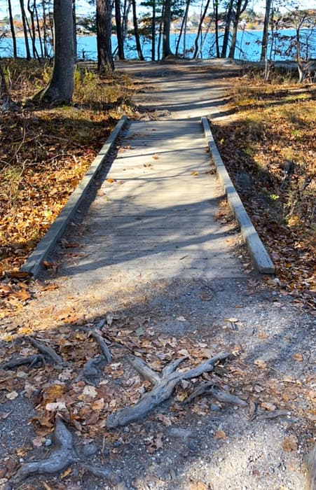 (Credit: Kara Wooldrik)