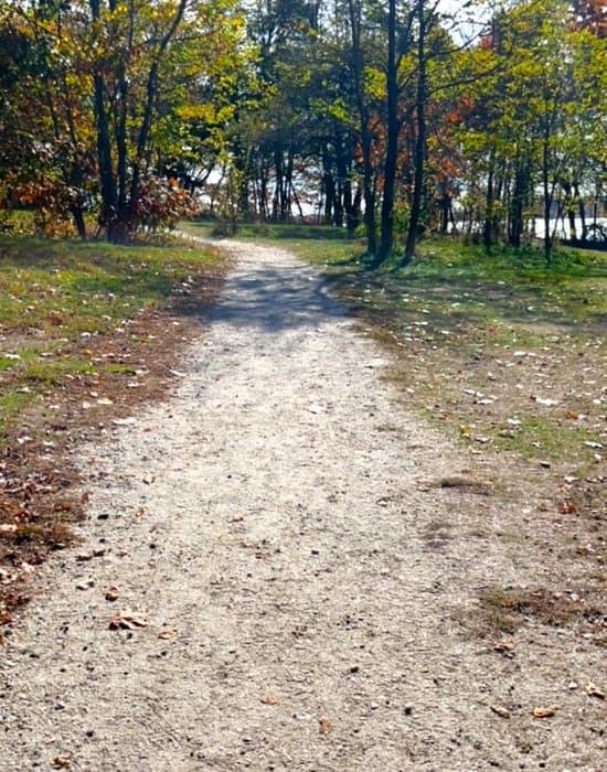 Trail surface (Credit: Kara Wooldrik)