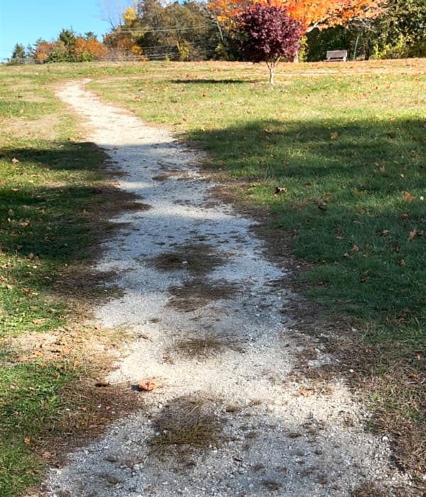 Trail surface (Credit: Kara Wooldrik)