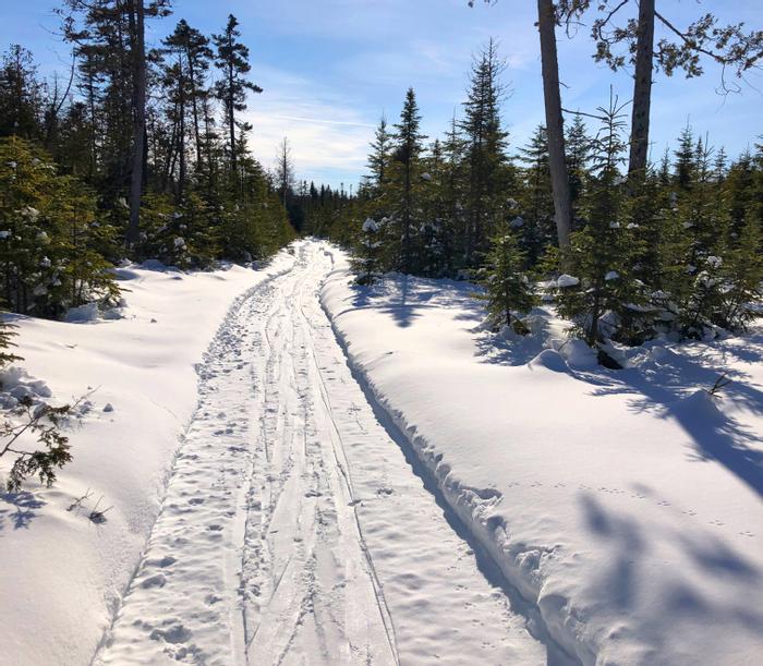 Bog Trail (Credit: Bill Sheehan)