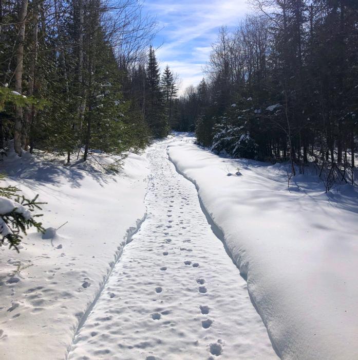 South Loop (Credit: Bill Sheehan)