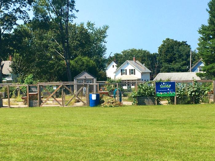 Community Garden next to the pathway (Credit: Hope Rowan)