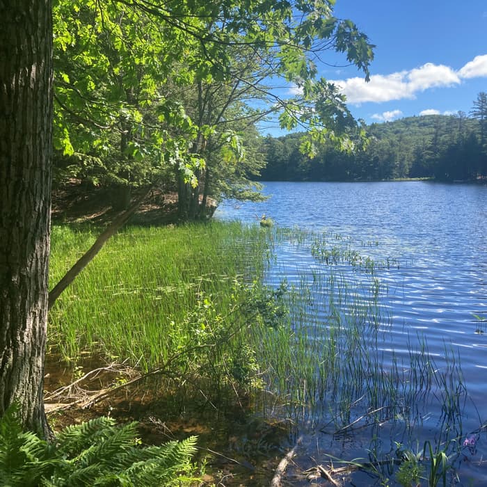 (Credit: Marie Ring, KLT)