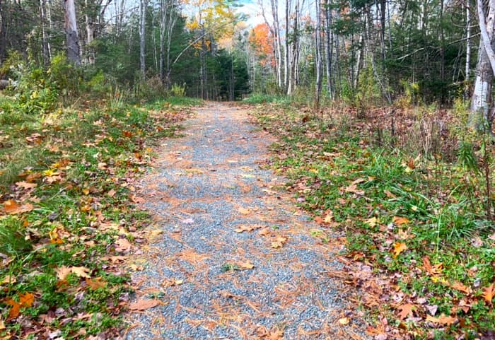 Trail surface (Credit: Hope Rowan)