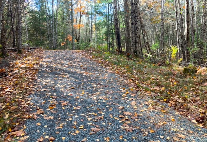 Trail surface (Credit: Hope Rowan)