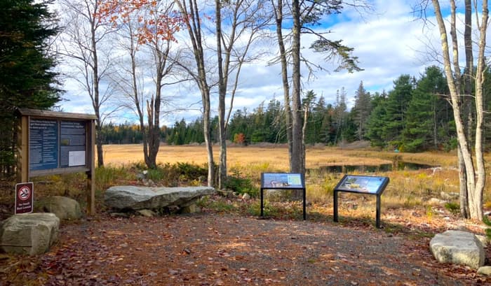 Sitting/viewing area at end of trail (Credit: Hope Rowan)