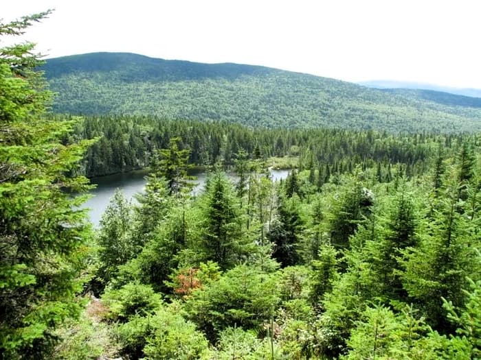 Midway Pond (Credit: Community Geographics)