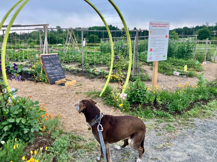 (Credit: Hope Rowan)