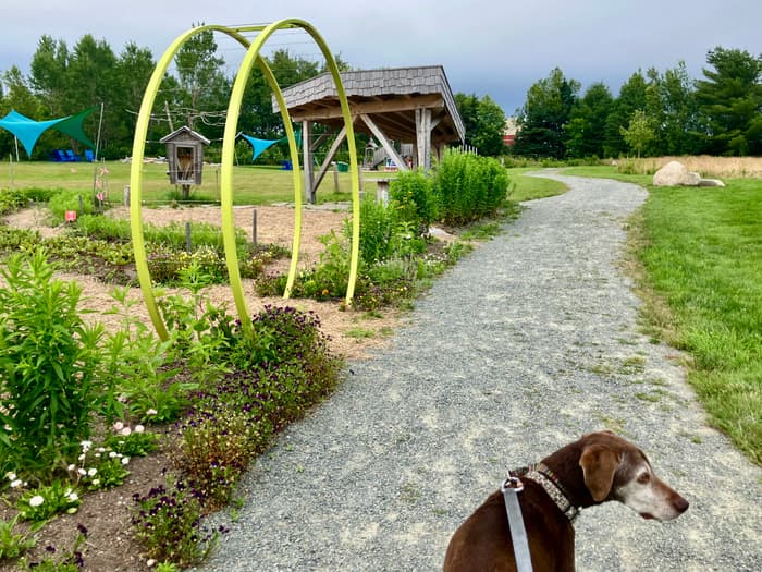 (Credit: Hope Rowan)