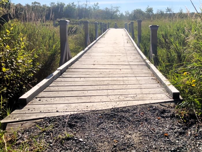 Start of boardwalk (east end) (Credit: Hope Rowan)