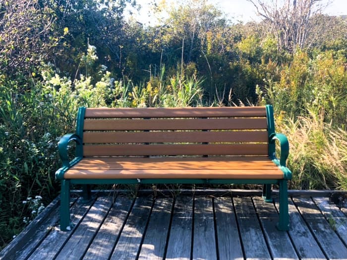 One of multiple benches (Credit: Hope Rowan)