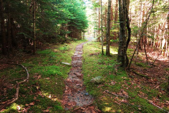 Marston Trail (Credit: Hope Rowan)