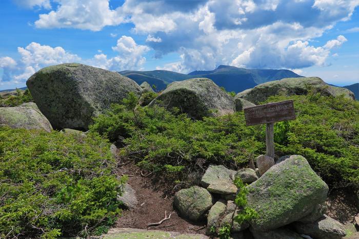 South Brother Summit (Credit: Hope Rowan)