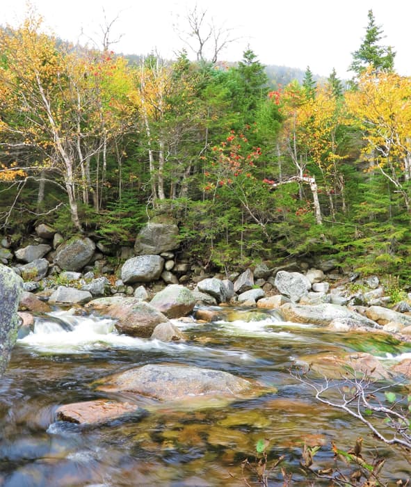 North Peaks Trail, Wassataquoik Stream (Credit: Hope Rowan)