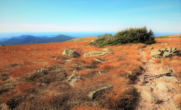 Northwest Basin Trail (Credit: Hope Rowan)