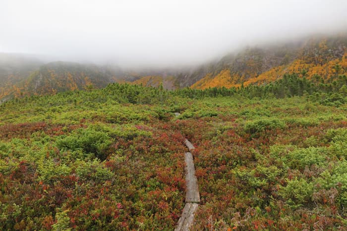 Northwest Basin (Credit: Hope Rowan)