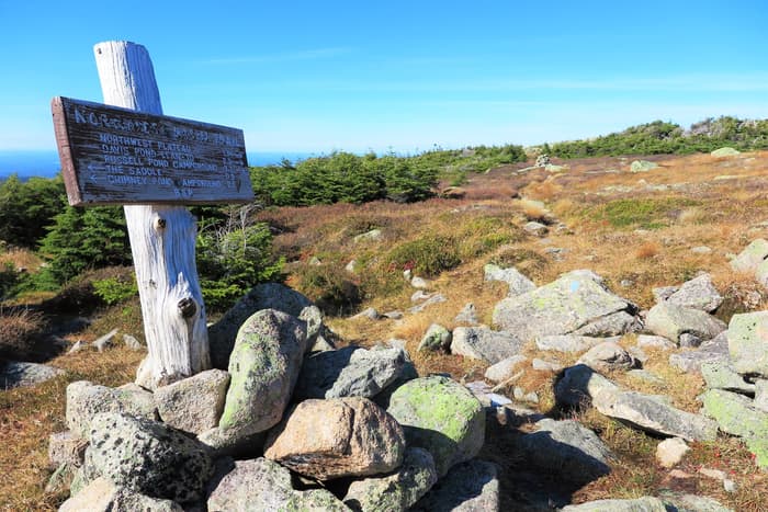 Northwest Basin Trail (Credit: Hope Rowan)
