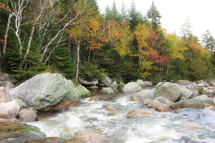 Northwest Basin Trail, Wassataquoik Stream (Credit: Hope Rowan)