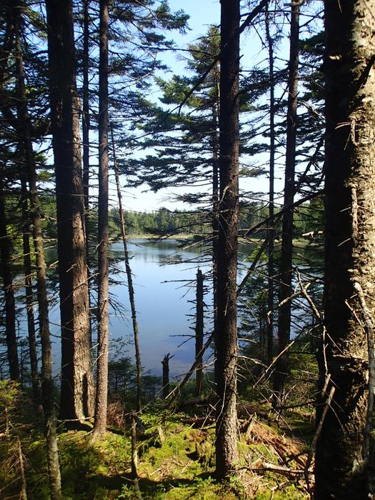 Notch Pond (Credit: Bureau of Parks and Lands)