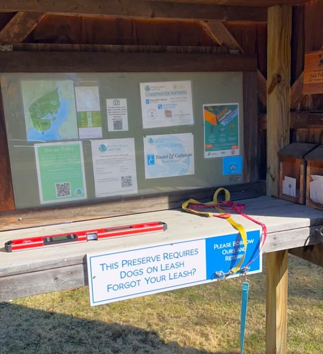 (Credit: Kara Wooldrik)