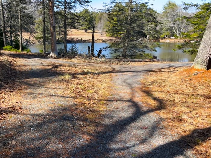 (Credit: Kara Wooldrik)