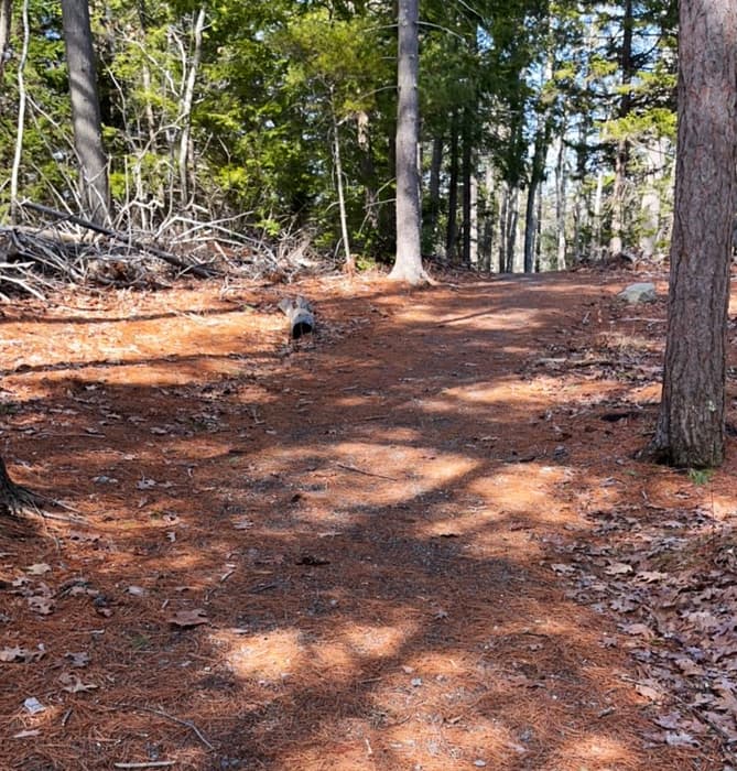 (Credit: Kara Wooldrik)