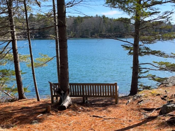 (Credit: Kara Wooldrik)