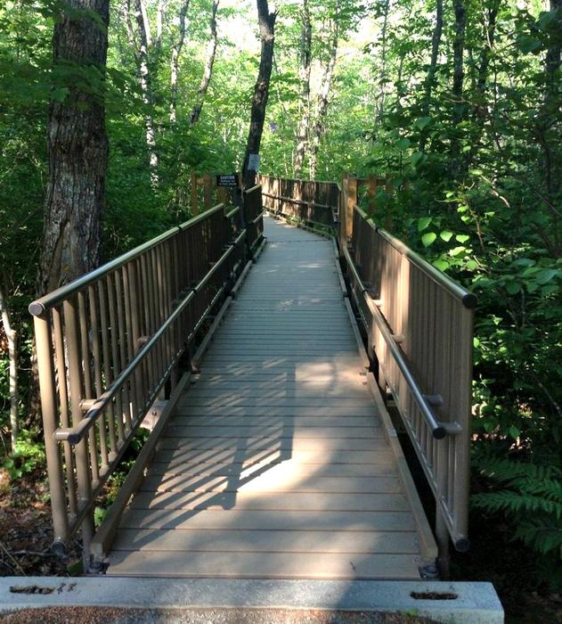 Beginning of boardwalk (Credit: N. Grohoski)