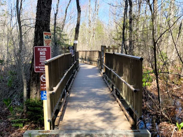 Beginning of boardwalk (Credit: N. Grohoski)