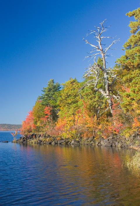 Perkins Woods as seen from Androscoggin Lake (Credit: KLT)