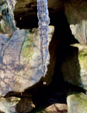 (Credit: Downeast Lakes Land Trust)