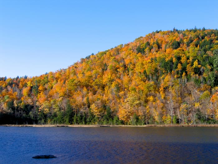 Far Winde-A-Way Nature Preserve
