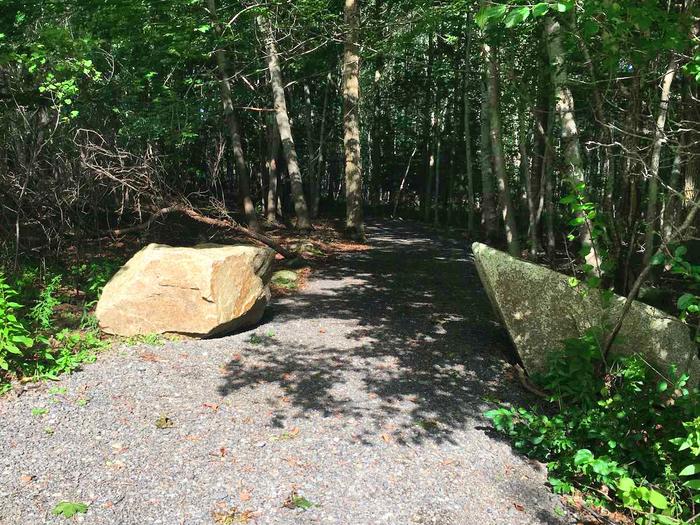 Marshall Farm Trailhead from Quaco Road Parking