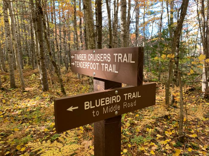 River Pond Nature Trails