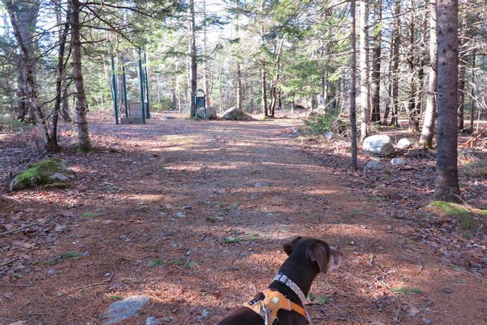 (Credit: Hope Rowan)