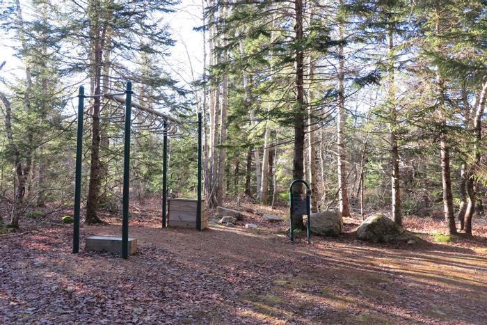 (Credit: Hope Rowan)