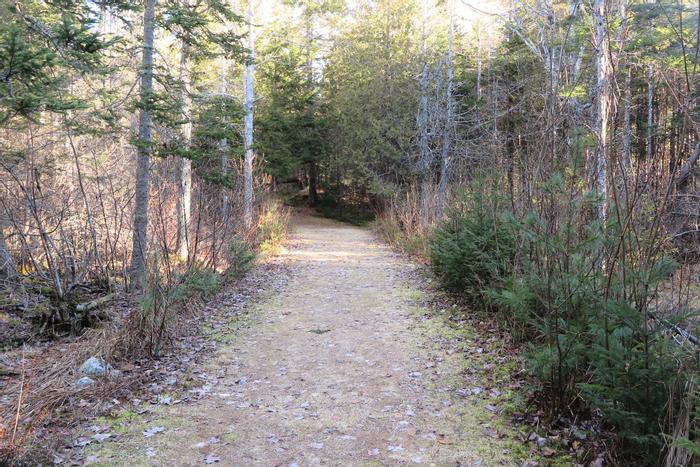 (Credit: Hope Rowan)