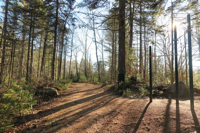 (Credit: Hope Rowan)