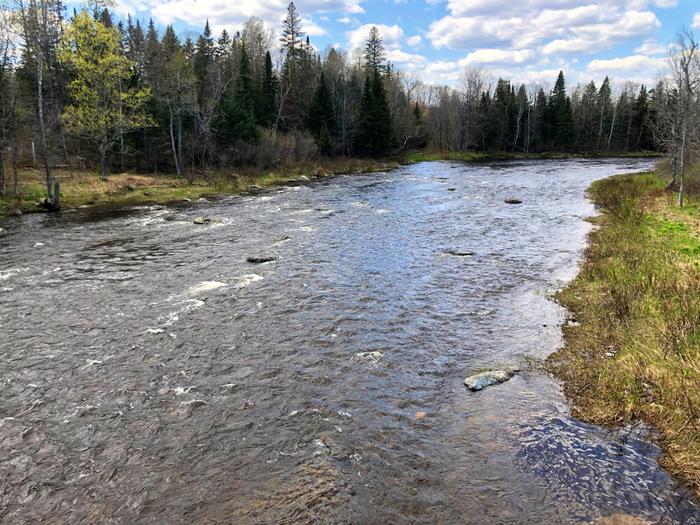 Rapids upstream of Garfield Bridge (Credit: Zip Kellogg)