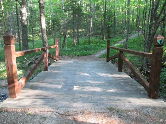 (Credit: Rebuilt Boy Scout Bridge)