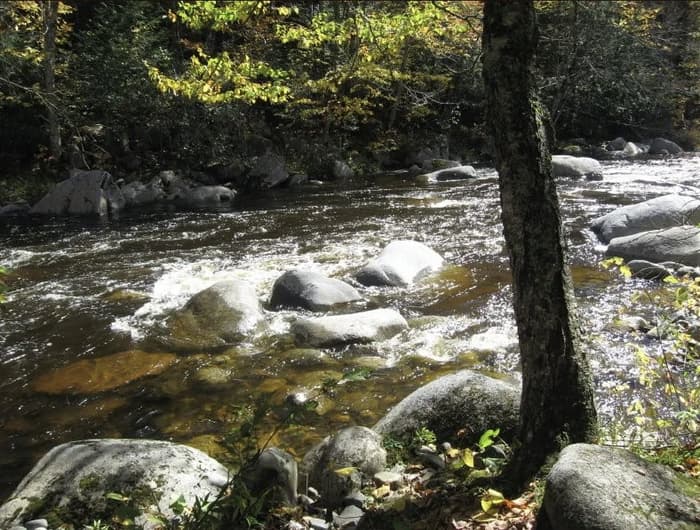 Orbeton Stream (Credit: High Peaks Alliance)