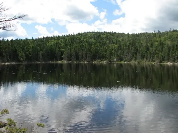 Rock Pond (Credit: Community Geographics)