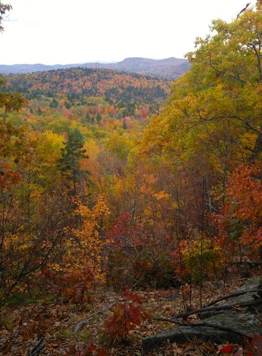 View from Rock Castle Loop (Credit: Gabe Perkins)